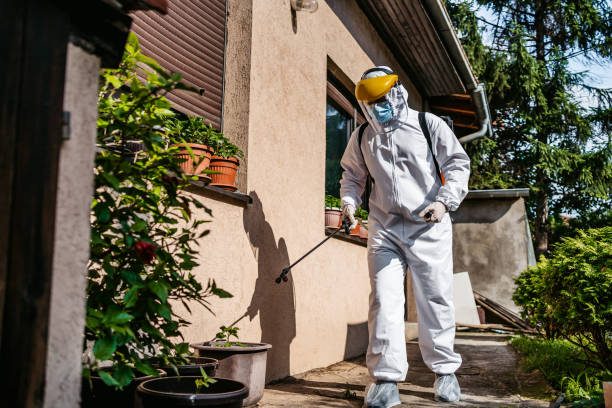 Best Flea Control Services  in Perryman, MD