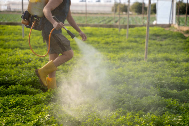 Best Affordable Pest Control Services  in Perryman, MD