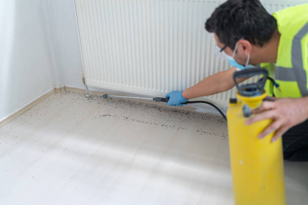 Best Emergency Pest Control  in Perryman, MD